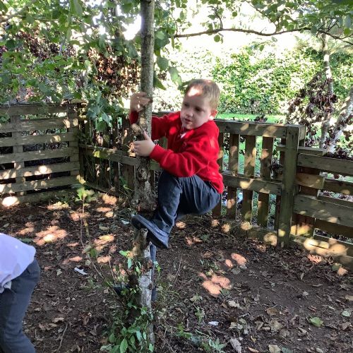IMG1638
