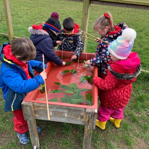 Forest school activities