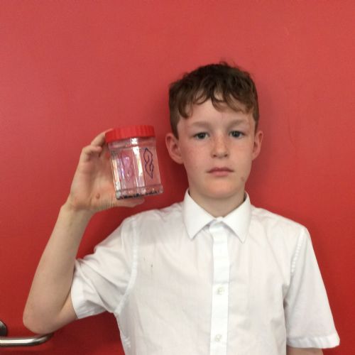 Mindfulness jars