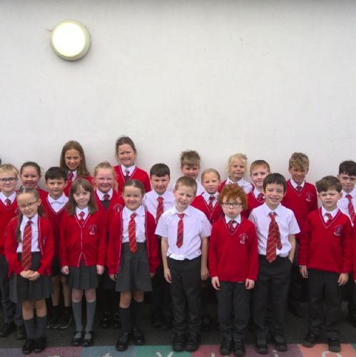 Meet P4