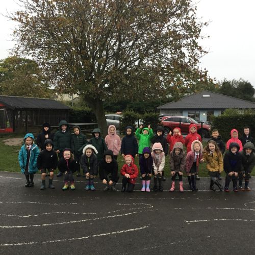 Our Autumn Walk