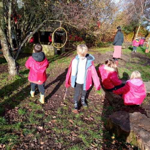 Exploring in the forest and looking for and sketching bugs!