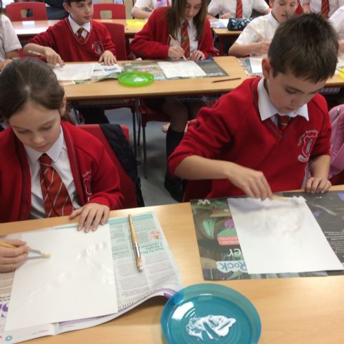 Art work - Werner Bronkhorst Study