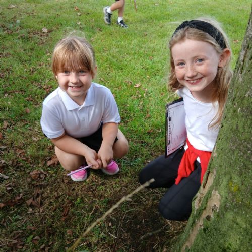Bug Hunt